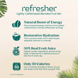 SMARTFRUIT - RENEW - 6/480Z